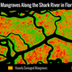 Illustration for article titled New Research Shows the Everglades Are Still Hurting Months After Irma
